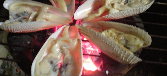 grilled-diwal_550x250 Grilled Diwal/Angel Wing Clam