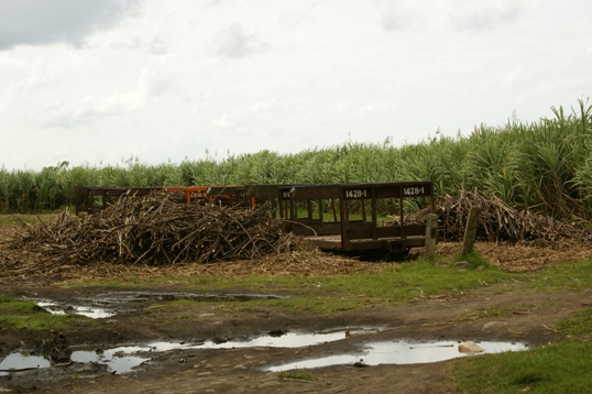 sugarcane transloading station